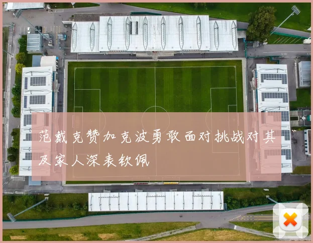 范戴克赞加克波勇敢面对挑战对其及家人深表钦佩