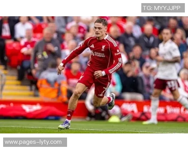 夏窗十大新星表现盘点维尔茨助攻不多舍什科进球乏力迪亚斯状态回暖