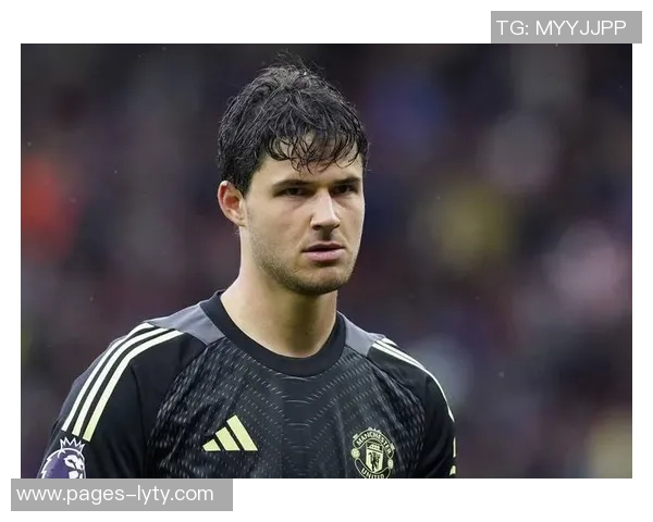 曼联欲引进安德森需筹集12亿镑或出售五名球员